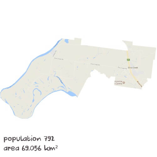 Chinese Tutoring Near Me